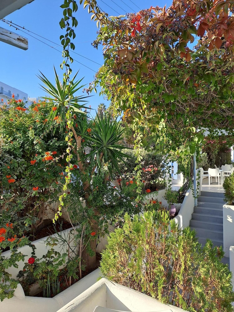Stratos Studios & Apartments, photo 28