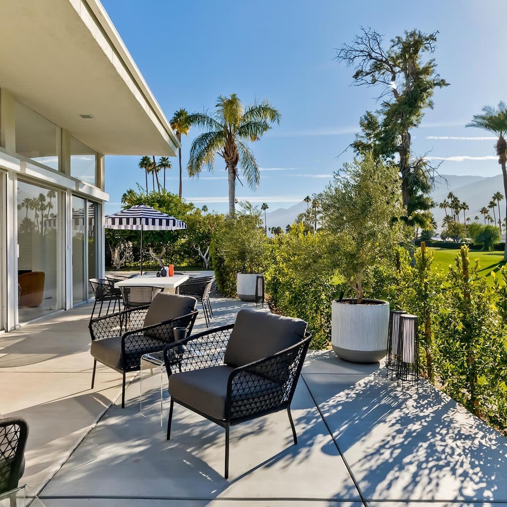 Indian Canyon Oasis in Palm Springs