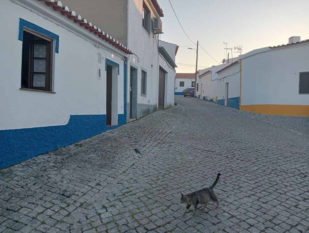 Ferreira do Alentejo Peroguarda Barbecue Ter