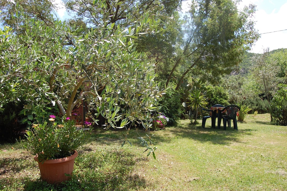 Photo 49