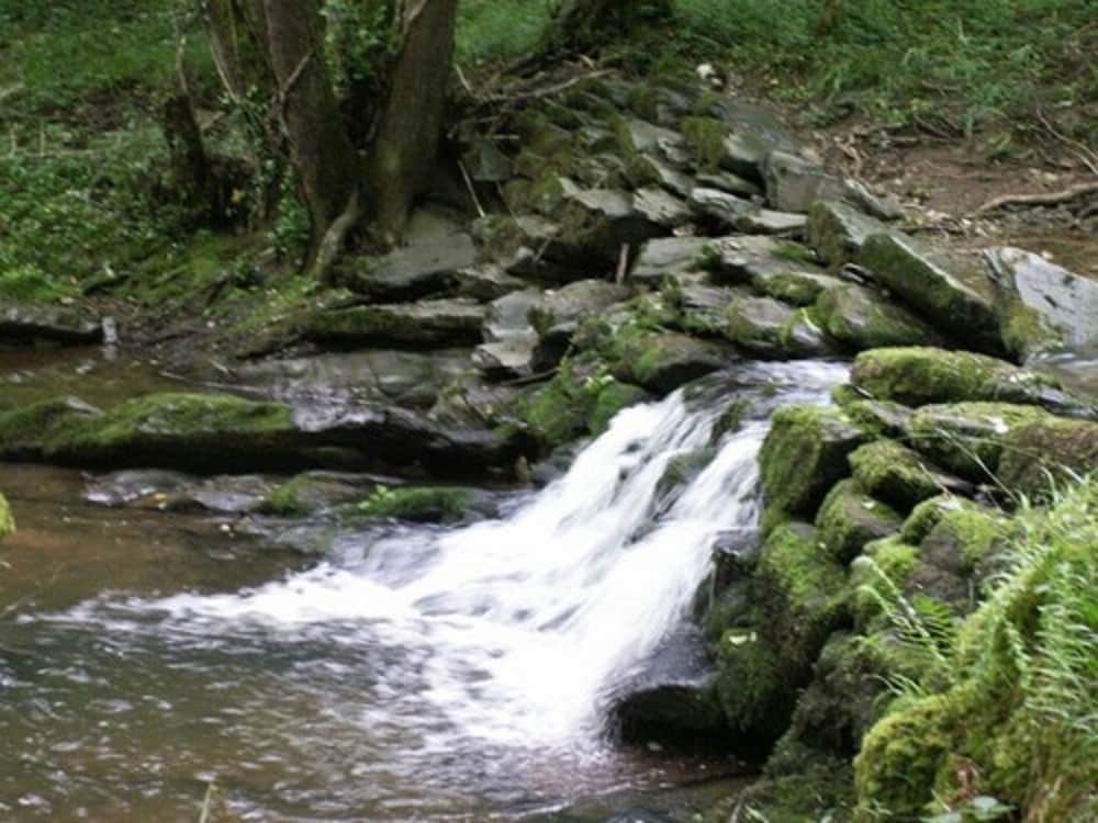 Photo 44