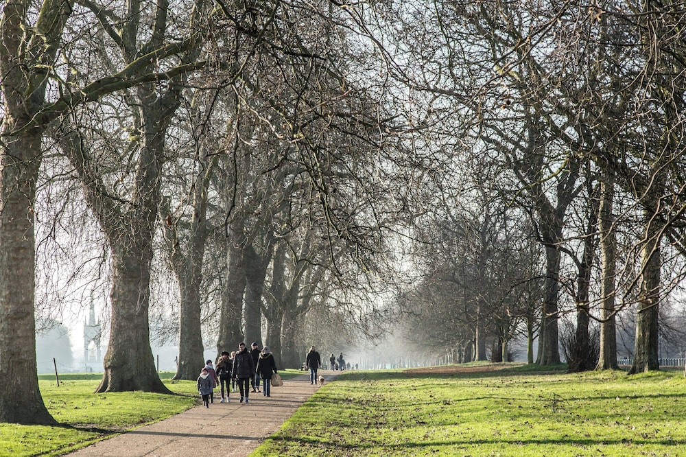 Rutland Mews South by Onefinestay