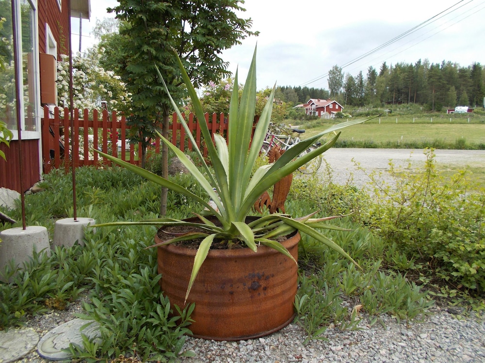 Chinova Mötesgård