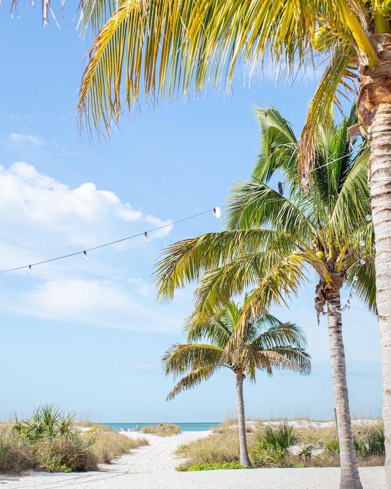 The Molloy - A Boutique Beach Resort