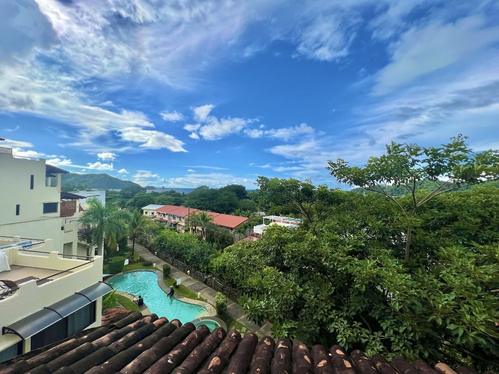 Tropical Gardens