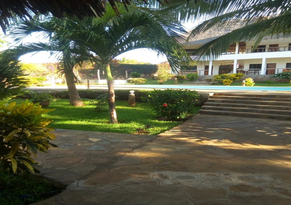 Photo 31