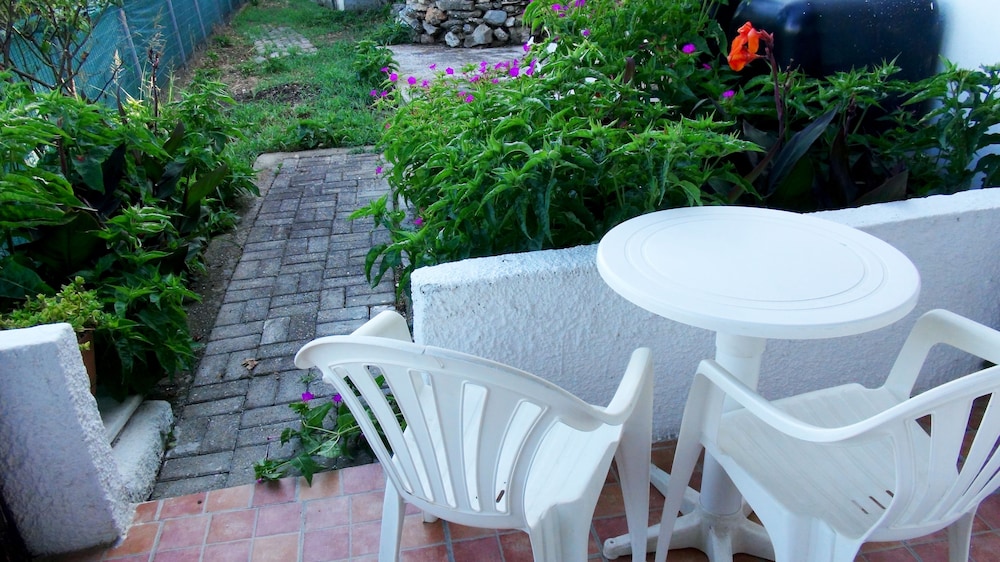 Camelia Studios