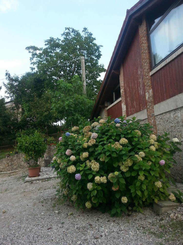 Photo 11
