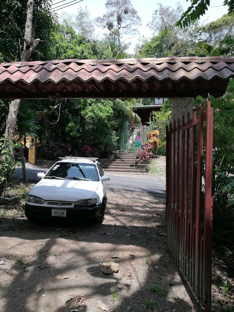 Photo 47