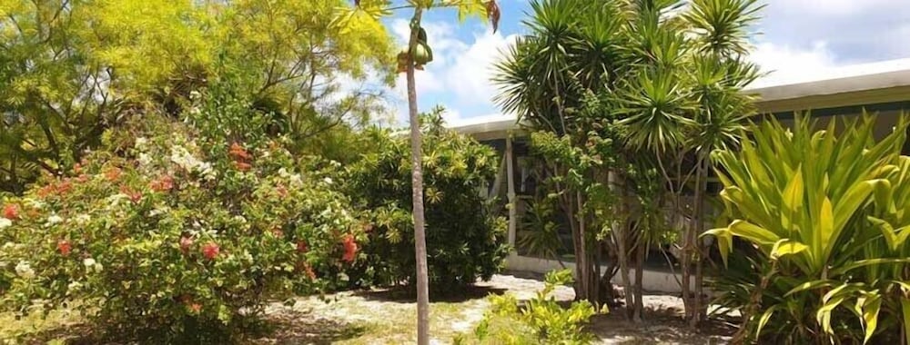 Photo 48