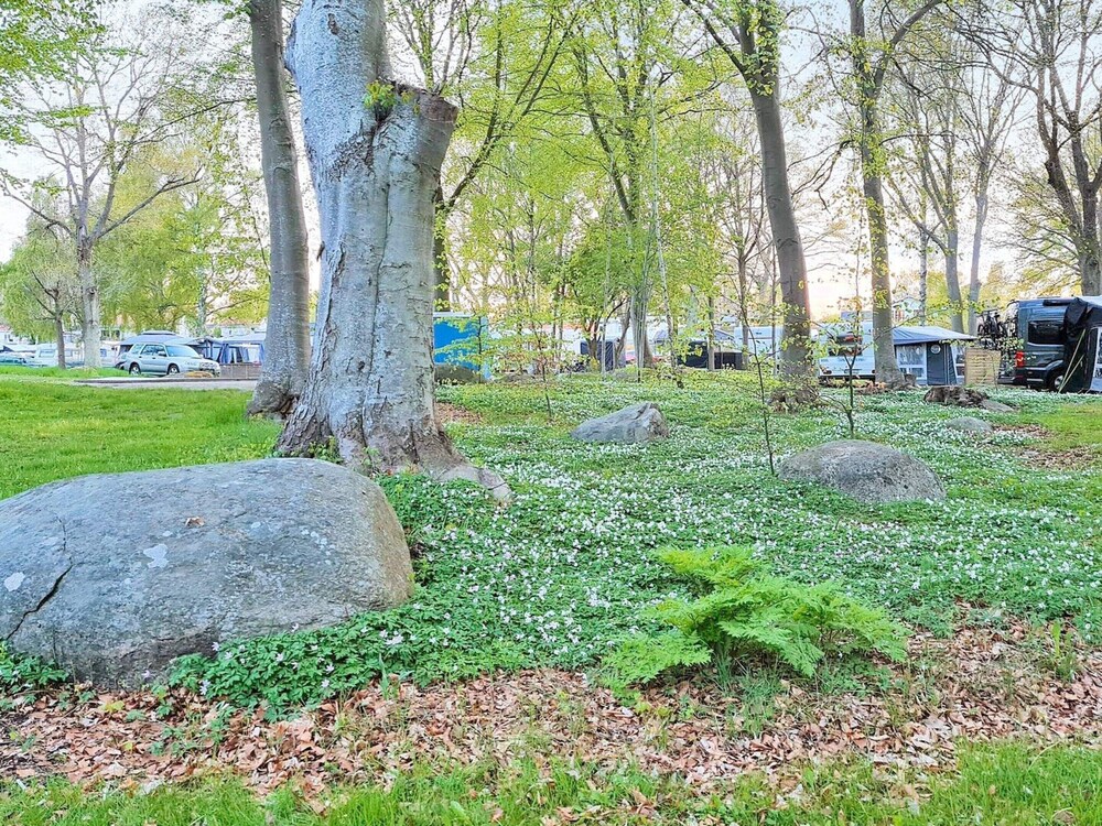 9 Person Holiday Home in Solvesborg-by Traum view 5