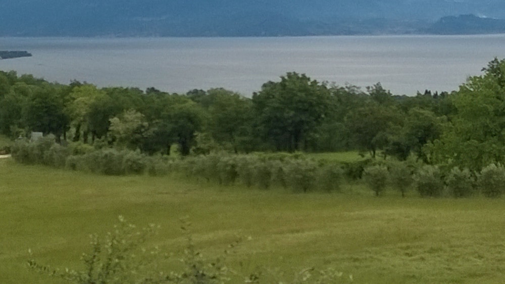 Farmhouse Paradiso