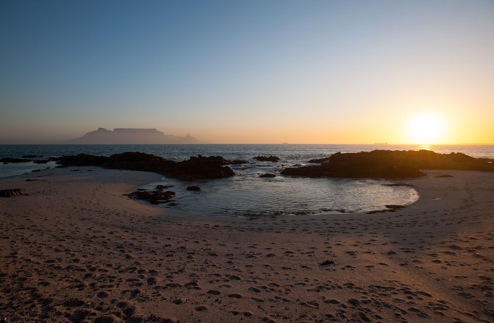Bokkombaai