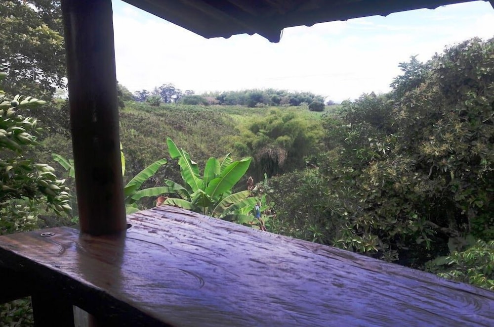 Finca Tradicional La Colonia