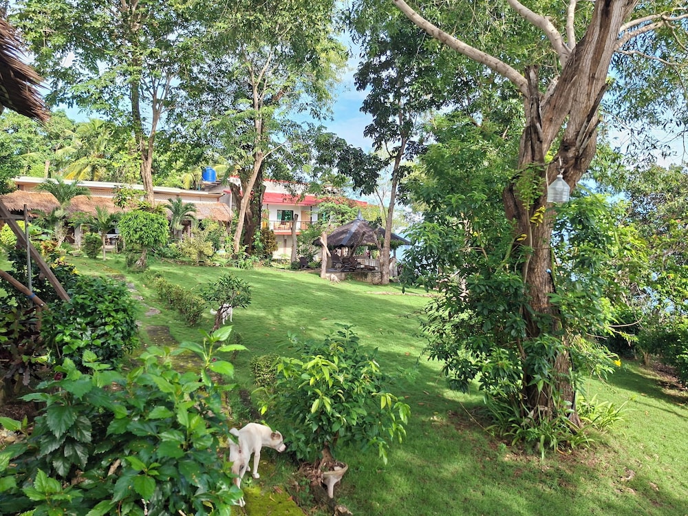 Bohol-Lahoy Dive & Beach Resort