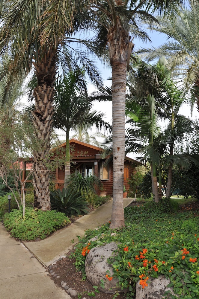 Naomi's B&B view 3