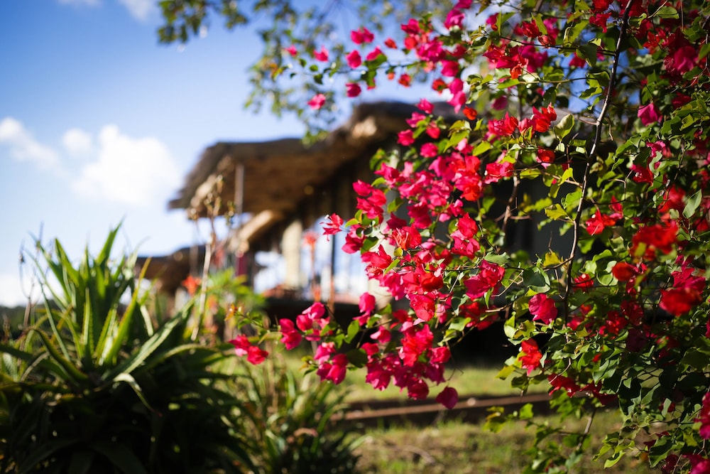 Karatu Simba Lodge