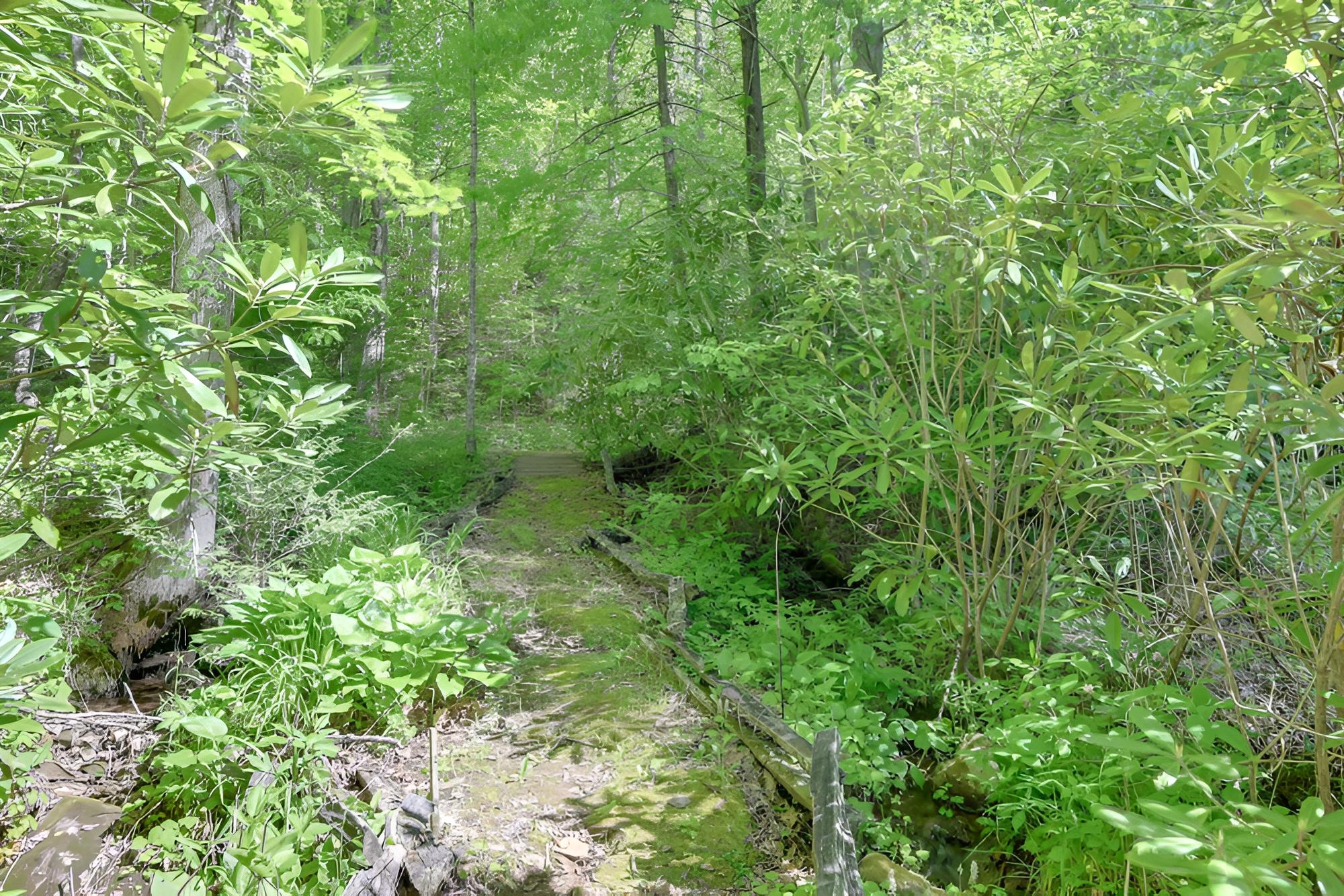 Photo 30