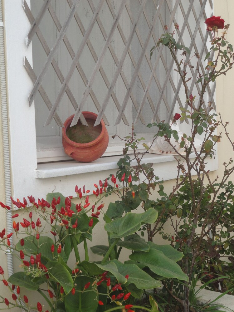 Vina's Place view 4