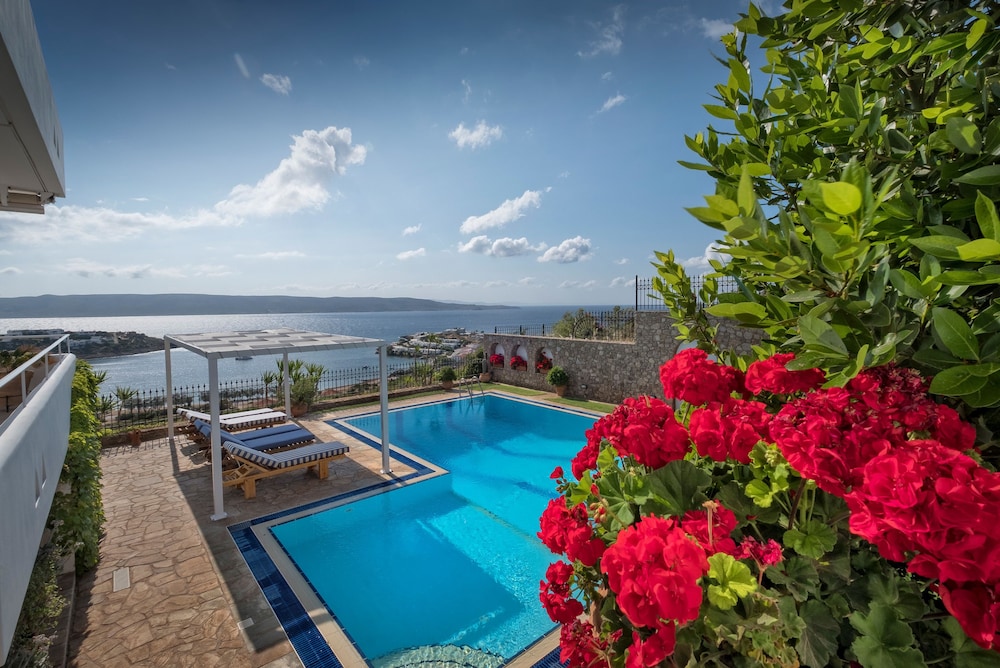 Sounio Villa photo 2