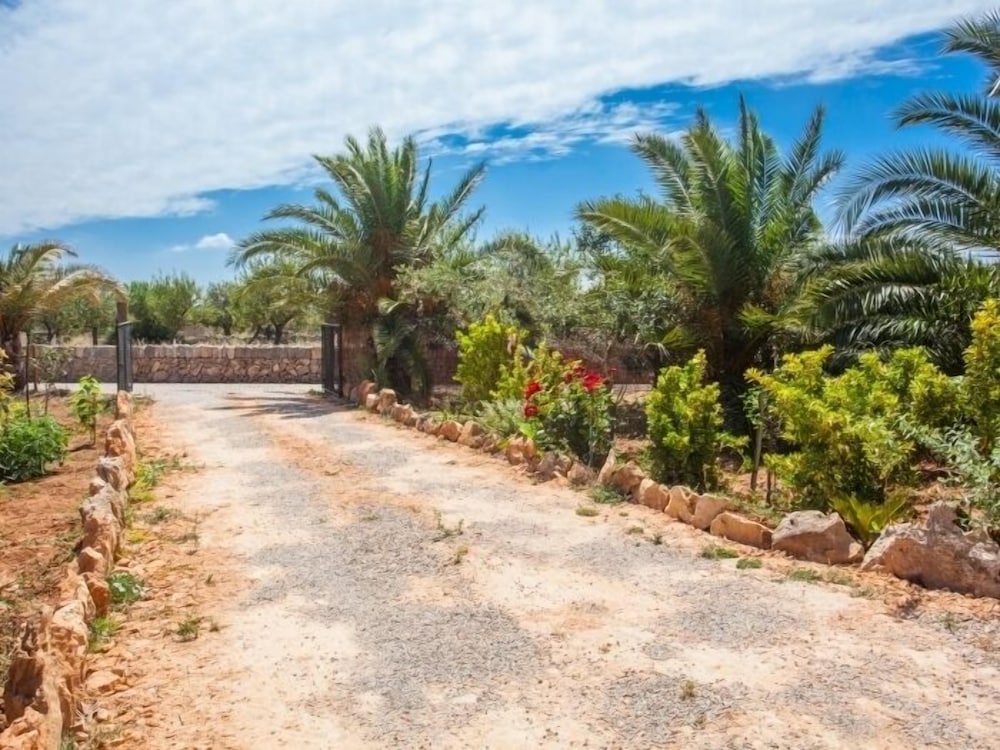 Finca Ses Comes view 4