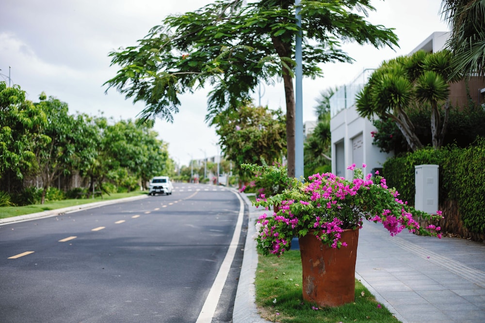 The Palm Nest Cam Ranh Pool Villa