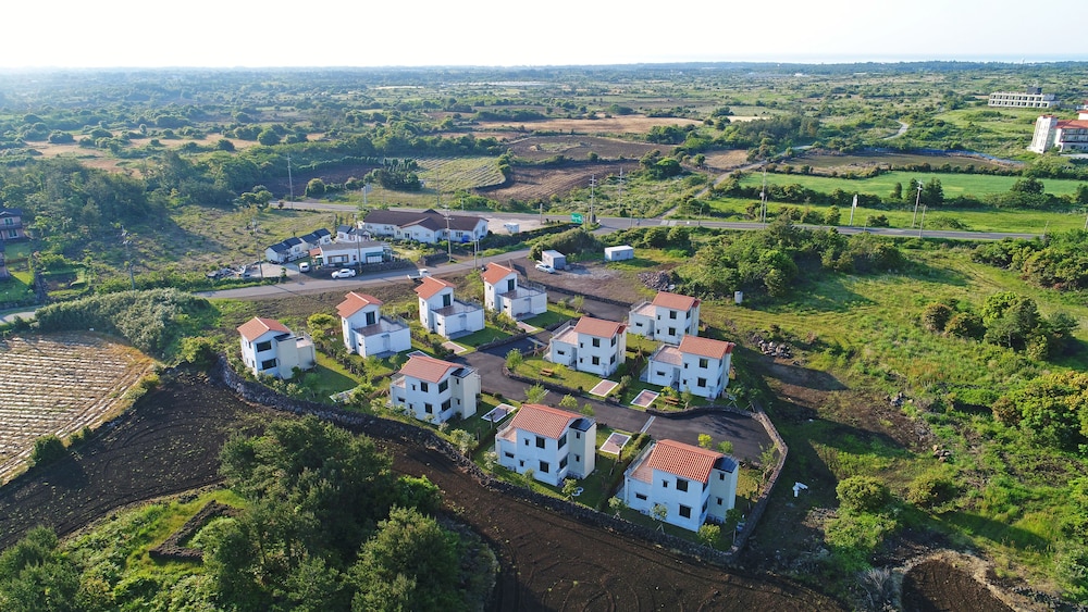 Dream in Jeju