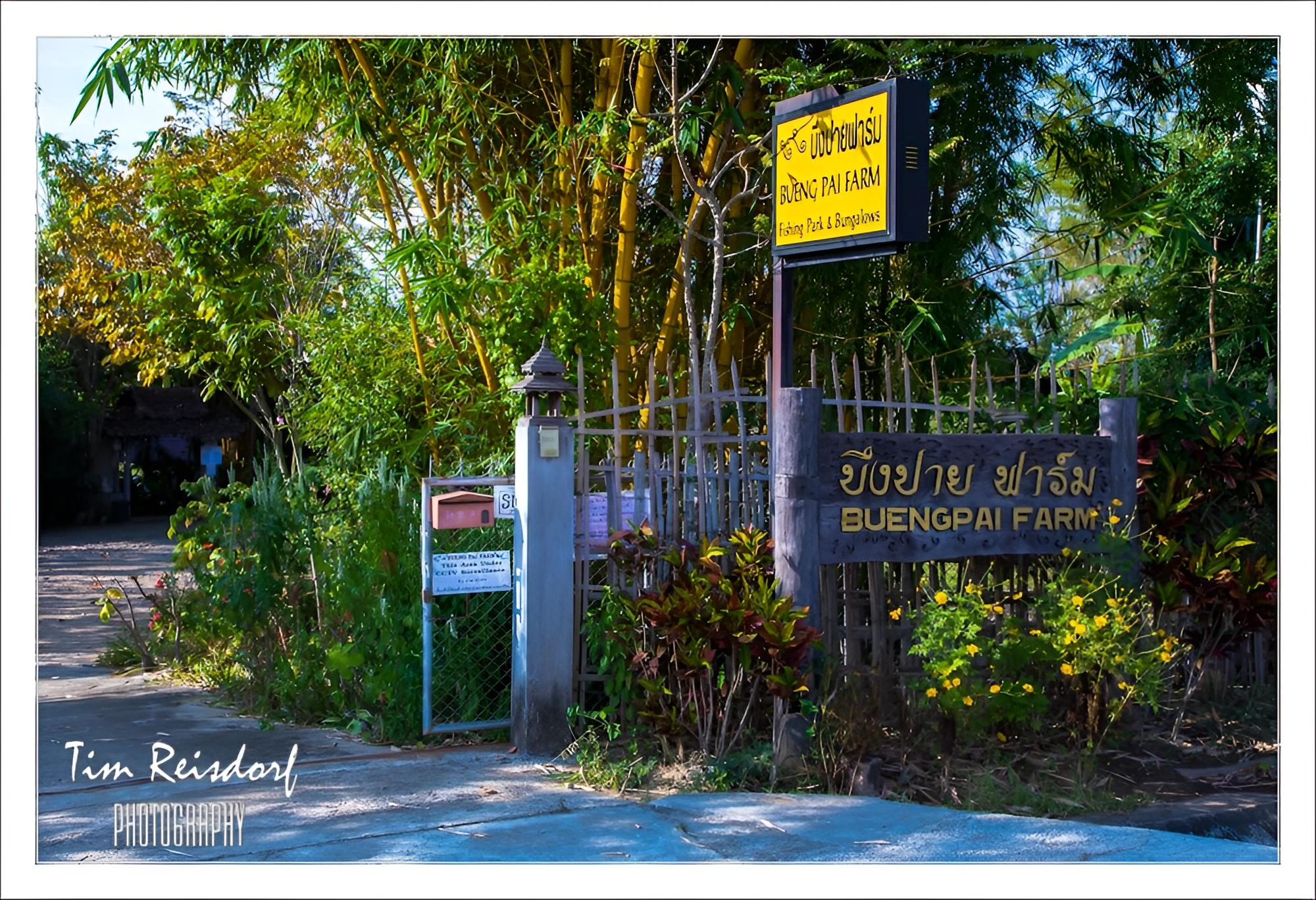 Bueng Pai Farm