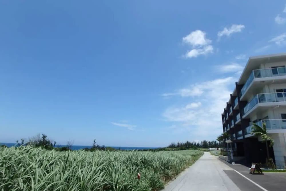Longvacation Okinawa 307 view 4