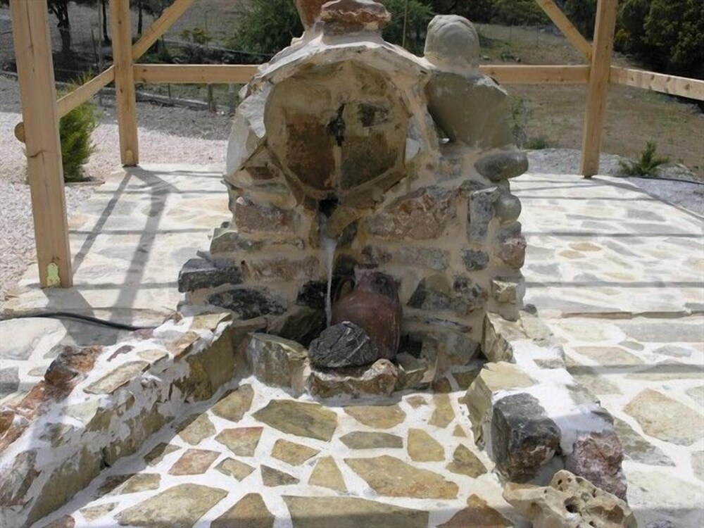 Photo 24