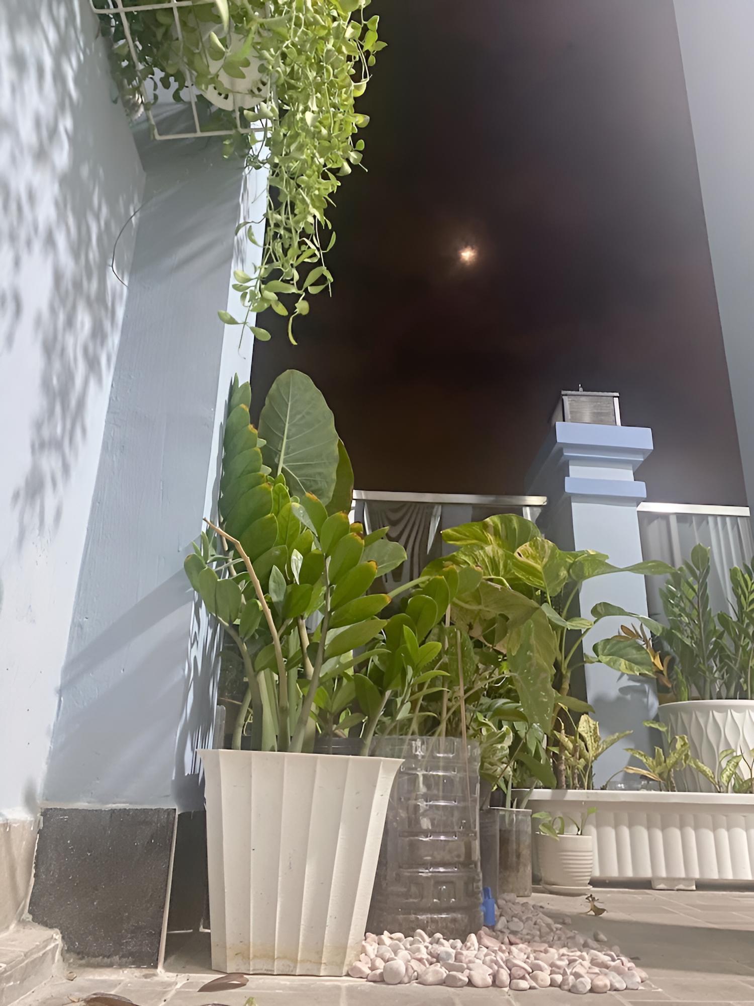 SAIGONESE Home