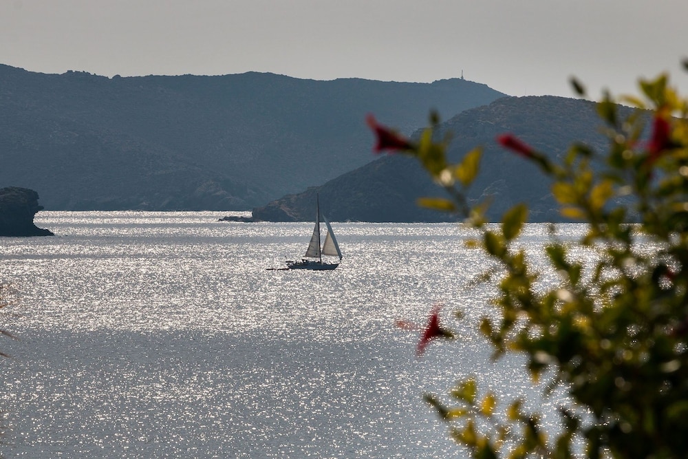 Sea View Studios