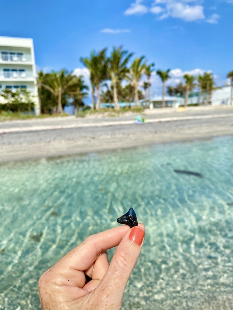 Manasota Key Resort