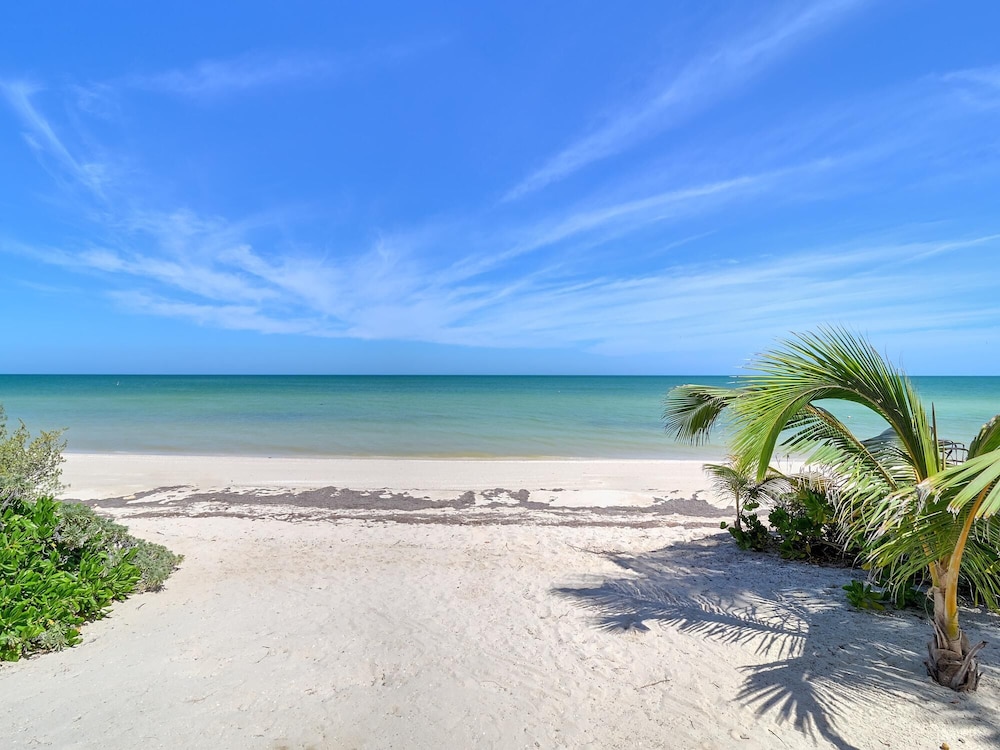 Casa Luisa- Yucatan Home Rentals view 5