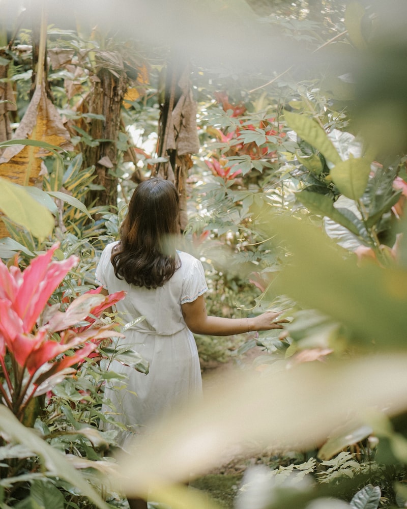Song Broek Jungle Resort