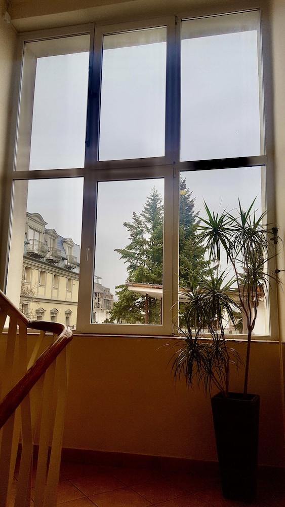 Albero view 4