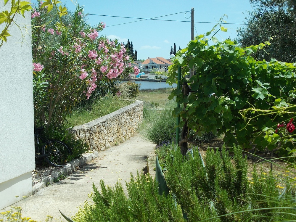 Photo 14