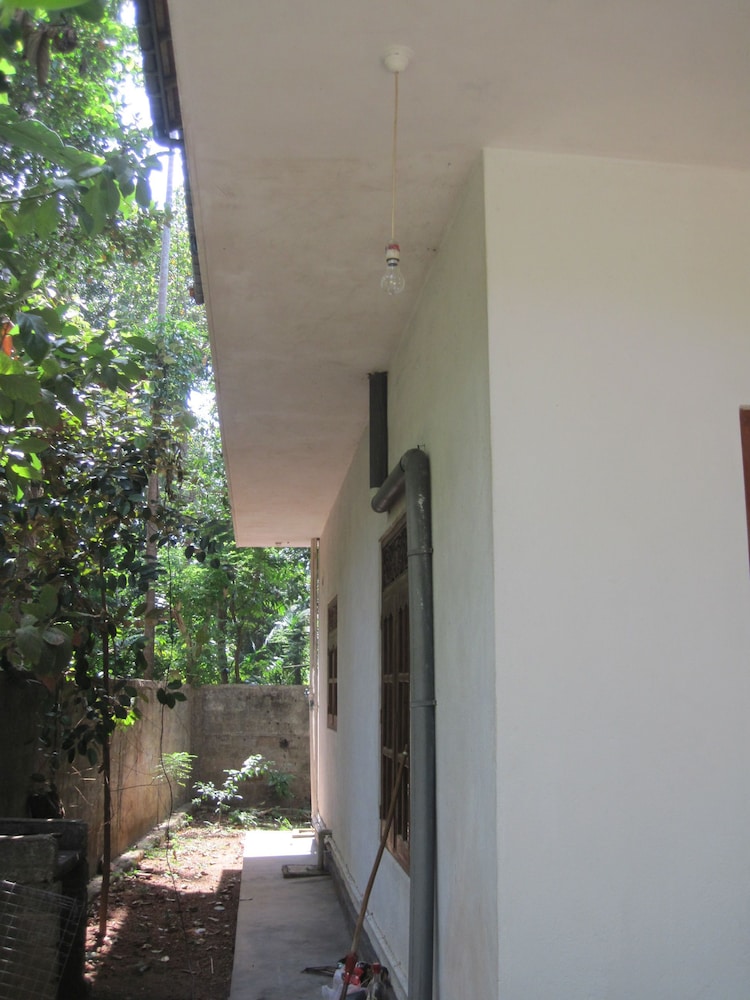 Jungleside House
