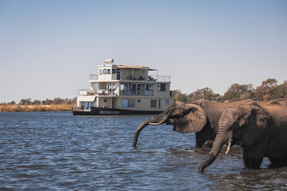 Chobe Princess By Mantis