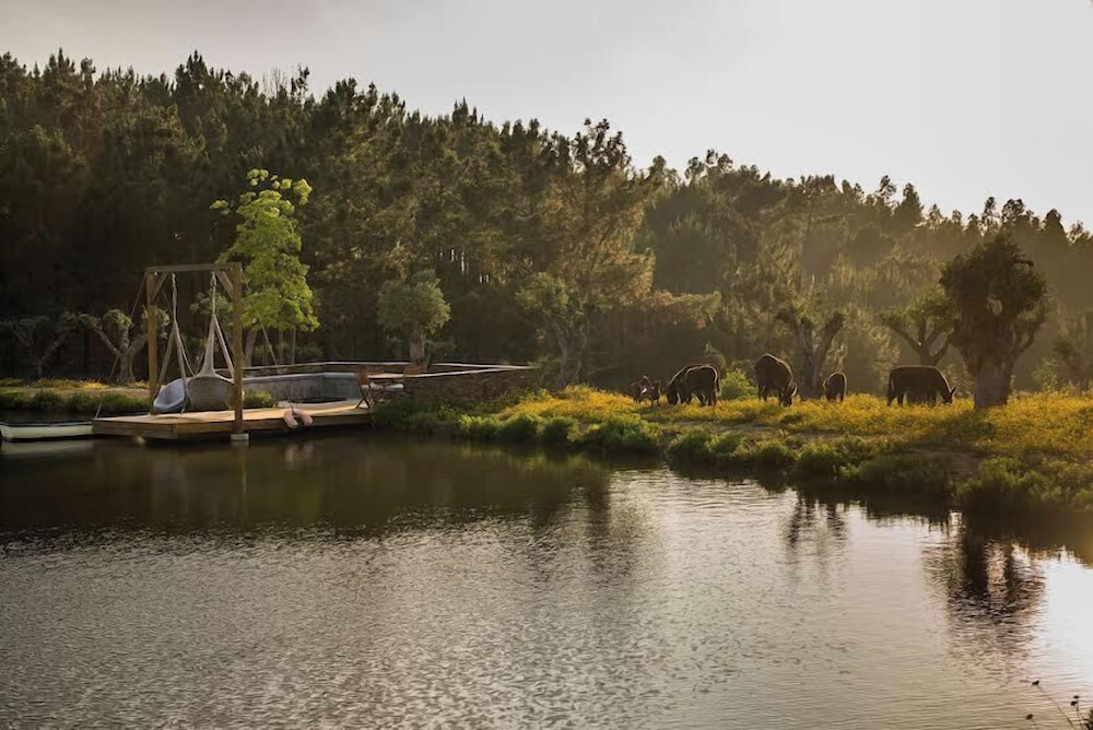 TEIMA Alentejo SW