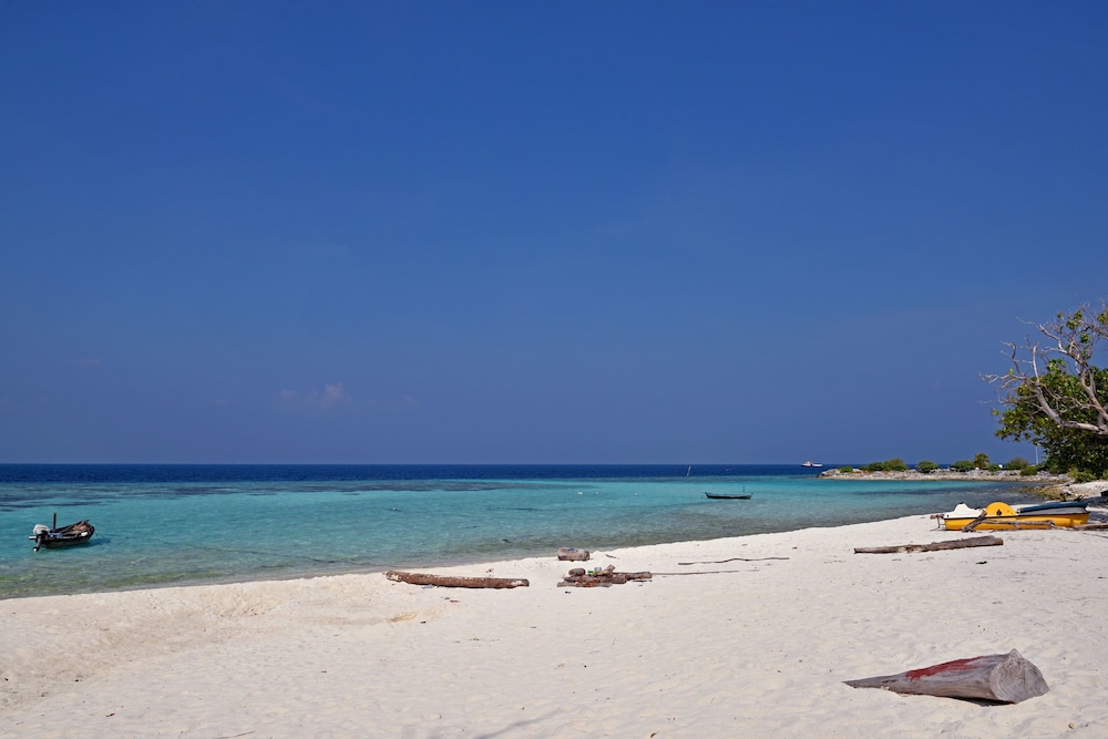 Asaa View