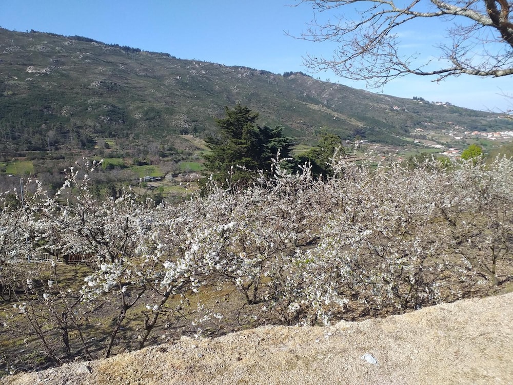 Rivatur - Explorações Turísticas Lda