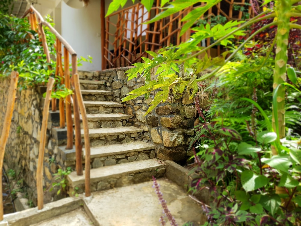 Ella River House