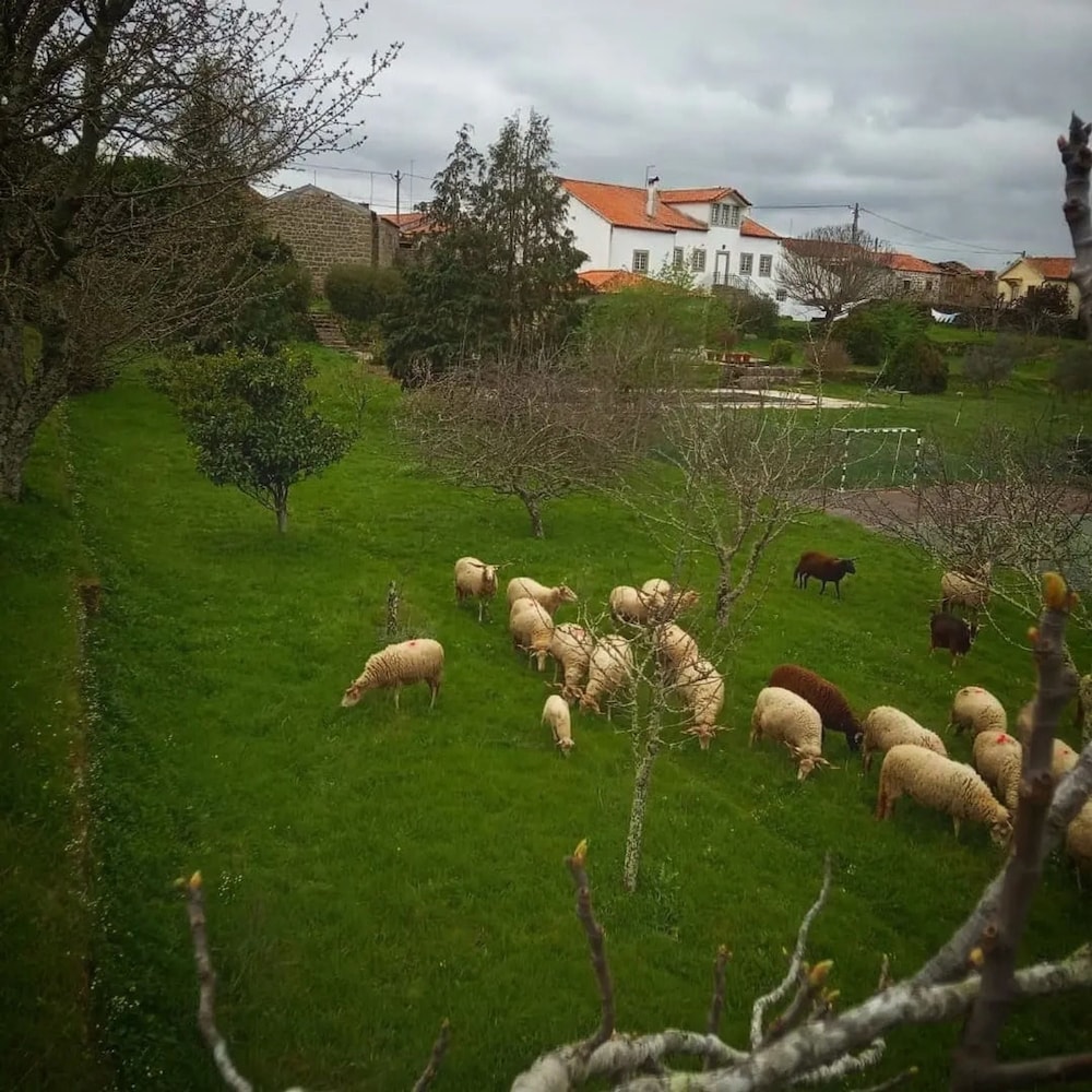 Rustic Terrace2 Bedrooms Farm House