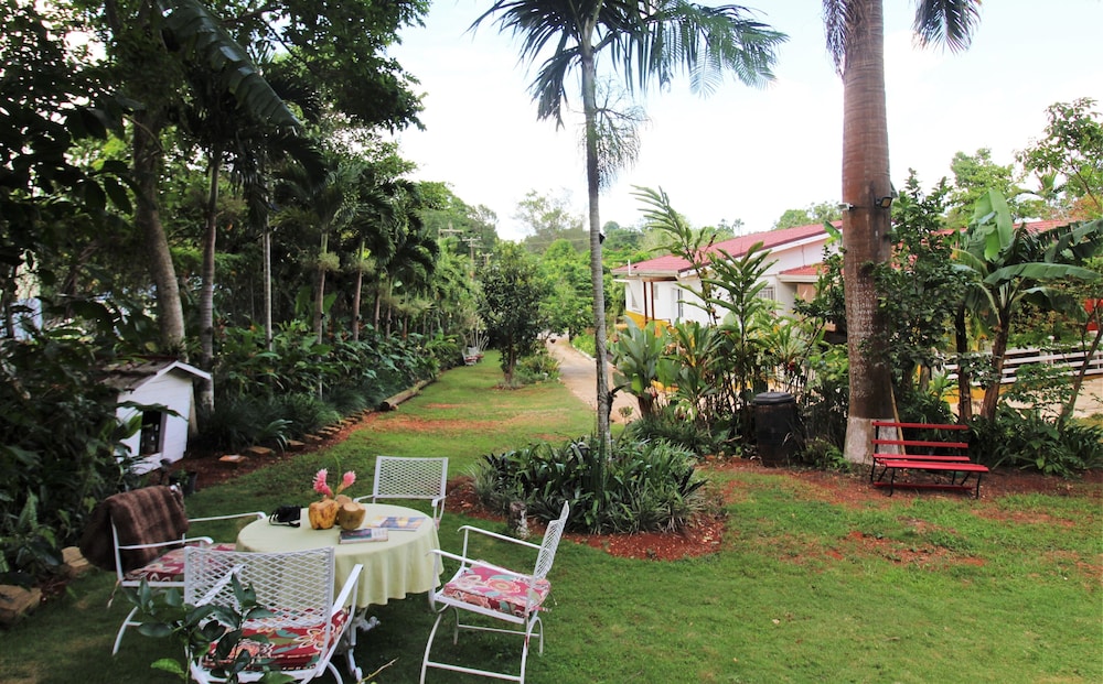 Casa da Buena Vista - Photo 43
