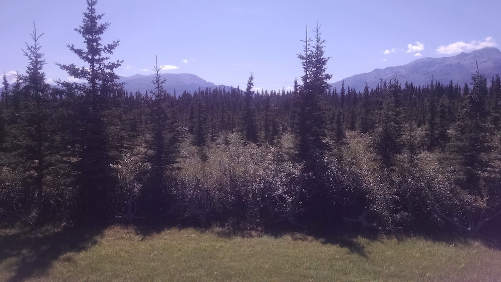 DENALI'S ALASKAN SPRUCE CABINS