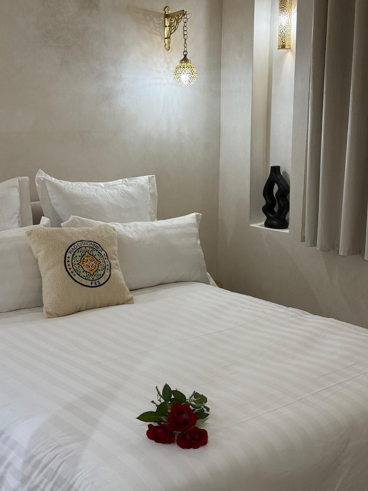 Riad citronnier