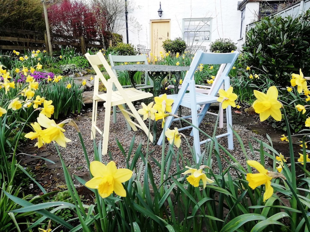 Bonny Bits Cottage