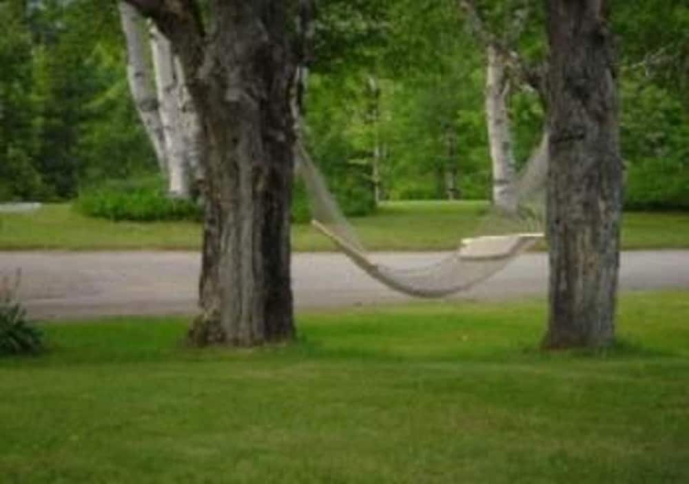 Patio Motor Court