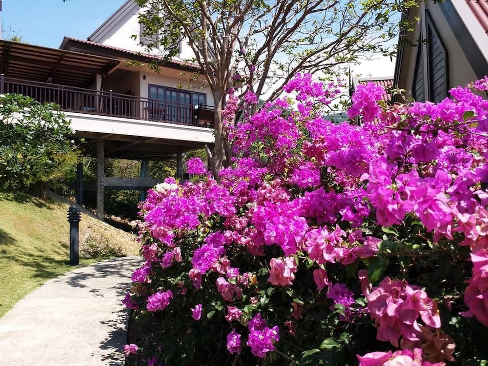 Photo 43